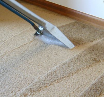 Empresa especializada em limpeza de carpete