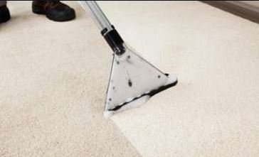 Higienização de carpetes